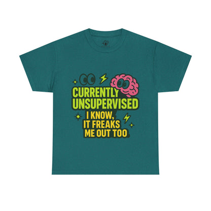 Currently Unsupervised