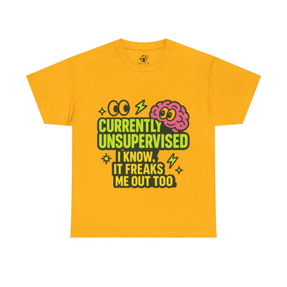 Currently Unsupervised