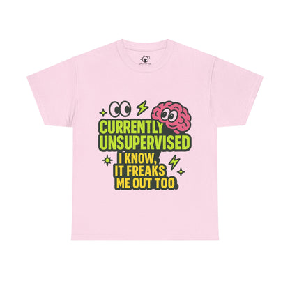 Currently Unsupervised