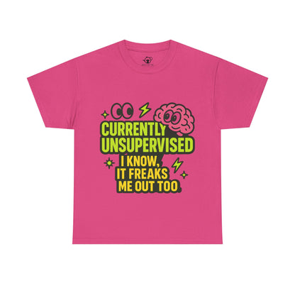 Currently Unsupervised
