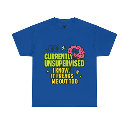 Currently Unsupervised
